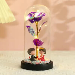 Gift Toy